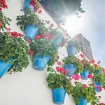 Obal Szálloda Marbella
