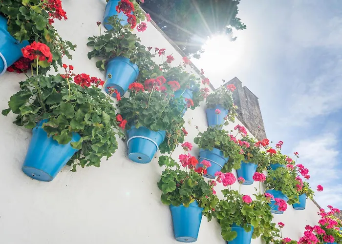 Obal Hotel Marbella
