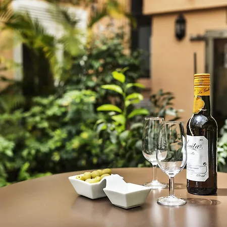 Hotel San Cristóbal Marbella